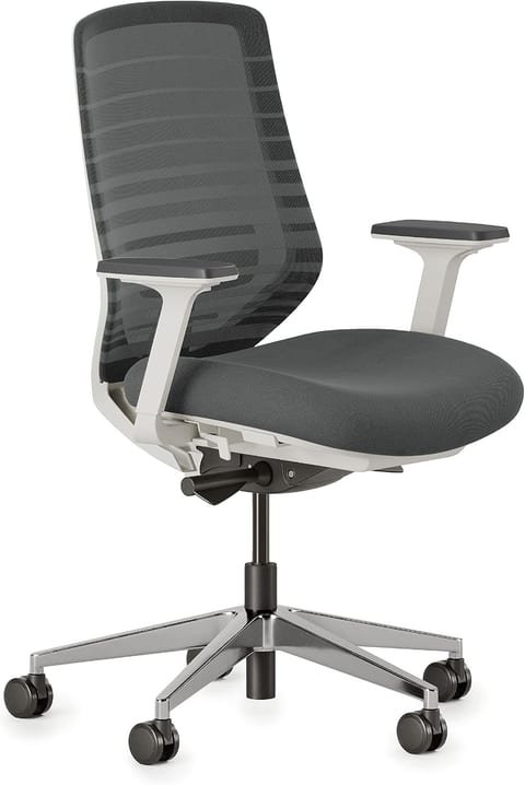 Branch Ergonomic Chair
